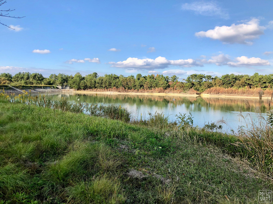 f:id:cippillo:20190702135416j:plain