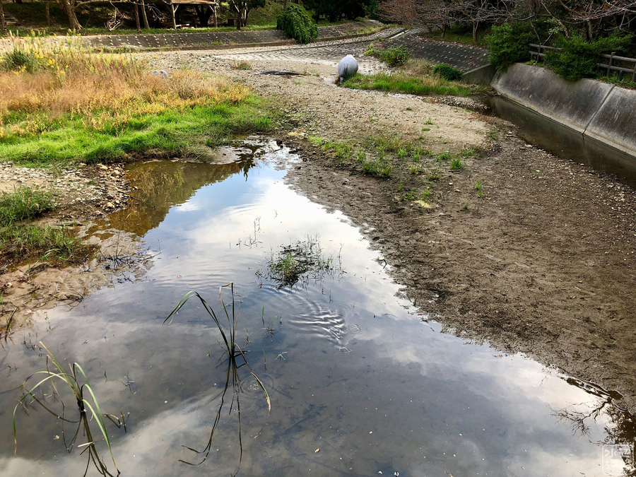 f:id:cippillo:20190705000222j:plain f:id:cippillo:20190705000222j:plain