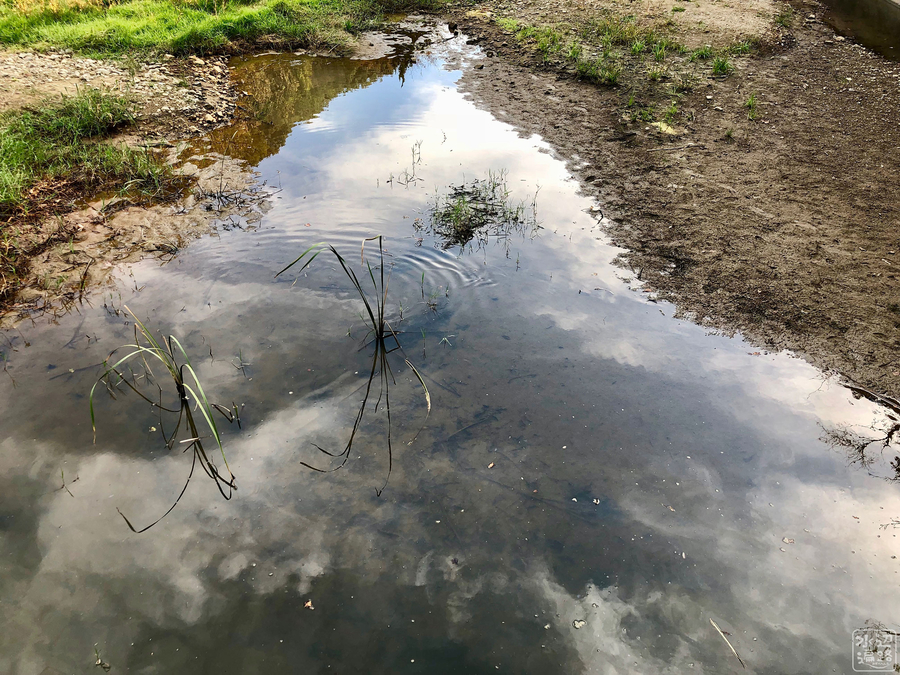 f:id:cippillo:20190705000232j:plain f:id:cippillo:20190705000232j:plain