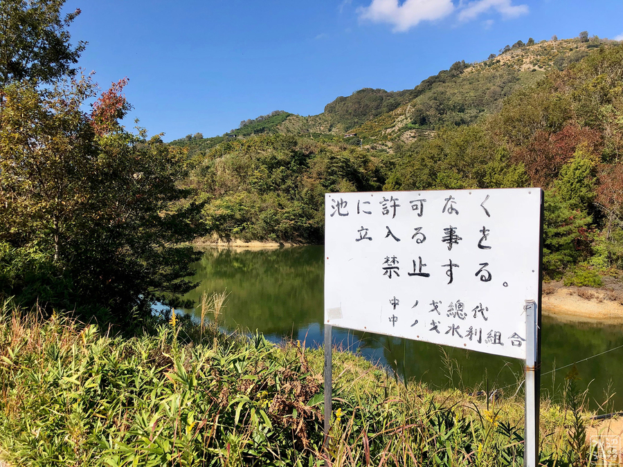 f:id:cippillo:20190705144705j:plain