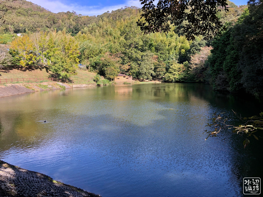 f:id:cippillo:20190705212055j:plain