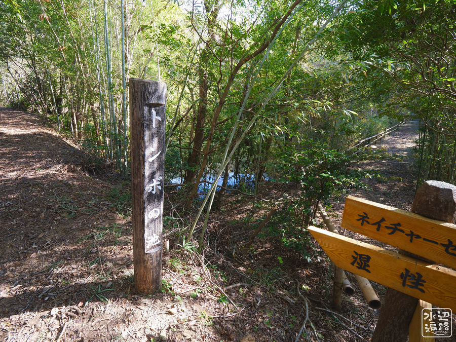 f:id:cippillo:20190706014107j:plain