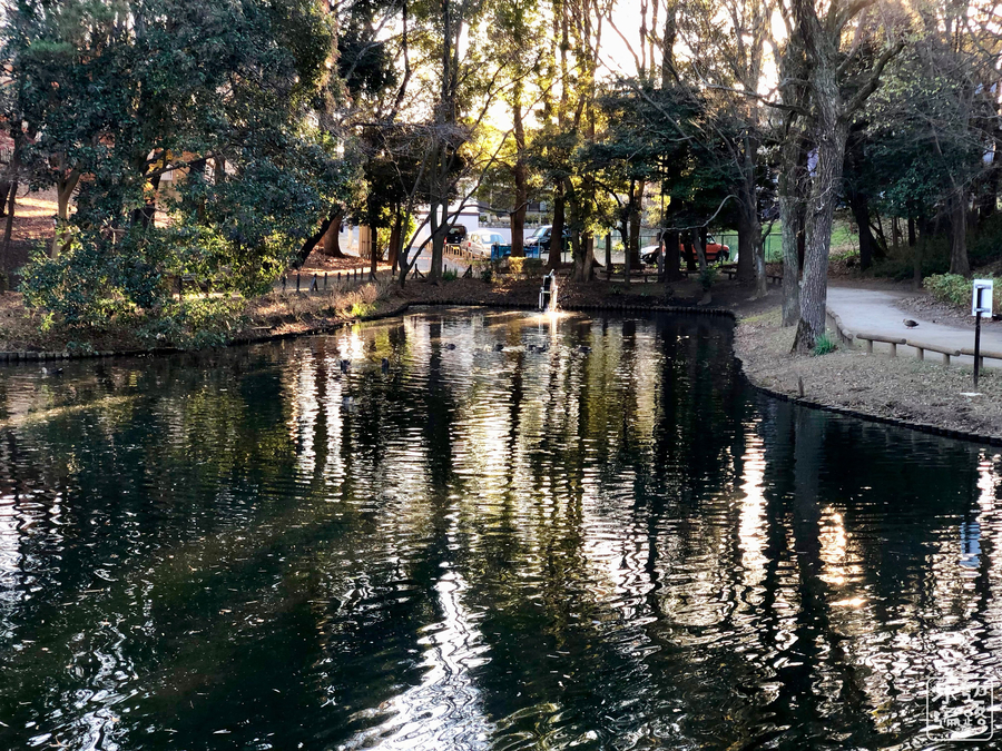 f:id:cippillo:20190708130005j:plain