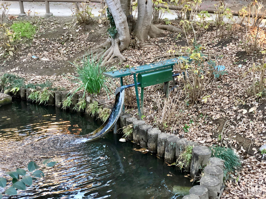 f:id:cippillo:20190708130037j:plain