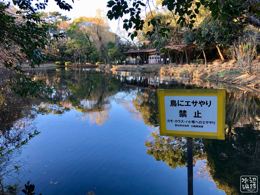 f:id:cippillo:20190708130057j:plain