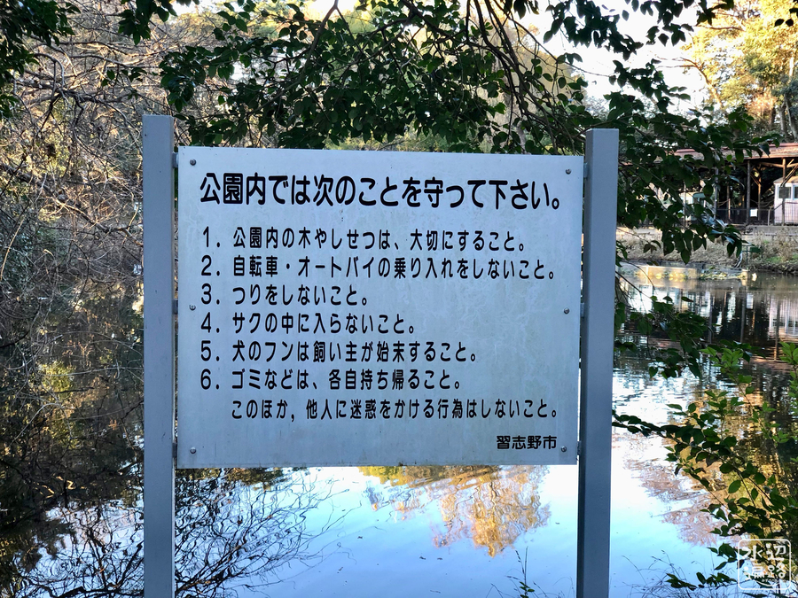 f:id:cippillo:20190708130108j:plain