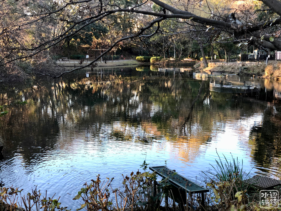 f:id:cippillo:20190708130131j:plain