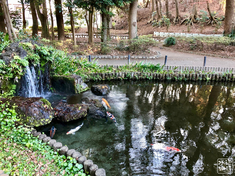 f:id:cippillo:20190708130203j:plain