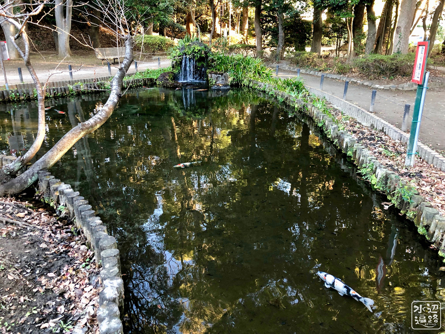 f:id:cippillo:20190708130225j:plain