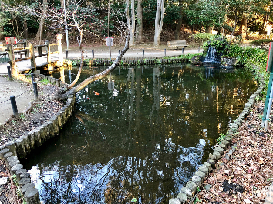 f:id:cippillo:20190708130237j:plain