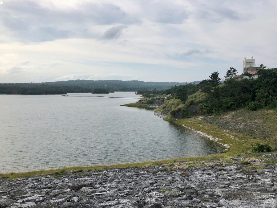f:id:cippillo:20190711113738j:plain f:id:cippillo:20190711113738j:plain