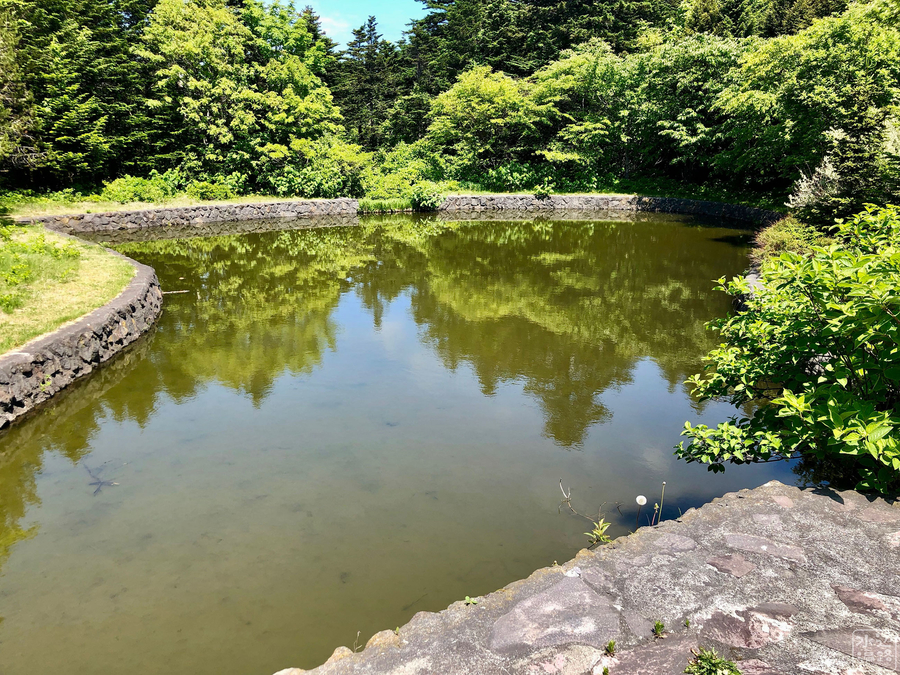 f:id:cippillo:20190713130450j:plain