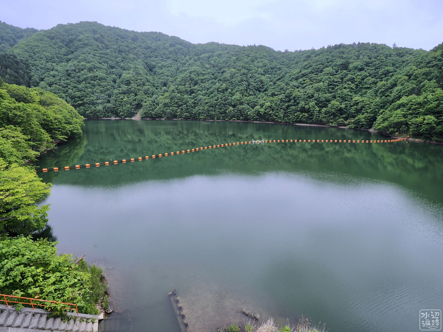 f:id:cippillo:20190716162455j:plain f:id:cippillo:20190716162455j:plain