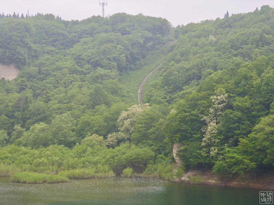 f:id:cippillo:20190717123953j:plain