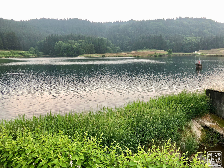 f:id:cippillo:20190718142019j:plain f:id:cippillo:20190718142019j:plain