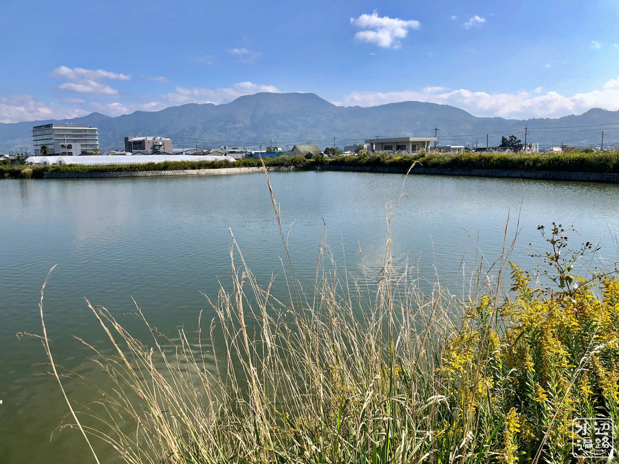 f:id:cippillo:20190718145748j:plain