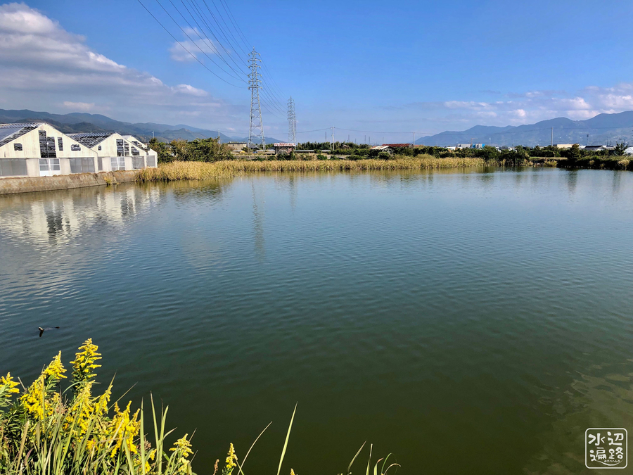 f:id:cippillo:20190718145801j:plain