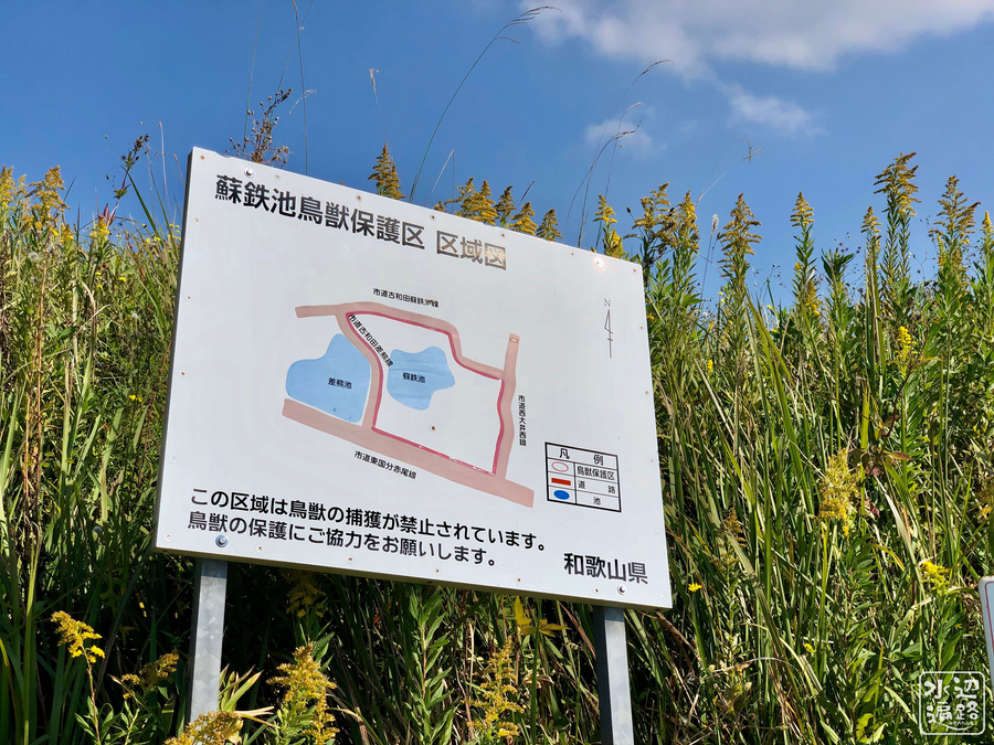 f:id:cippillo:20190718145812j:plain