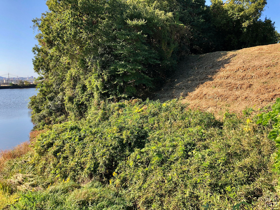 f:id:cippillo:20190722094637j:plain