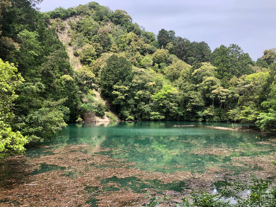 f:id:cippillo:20190724014327j:plain