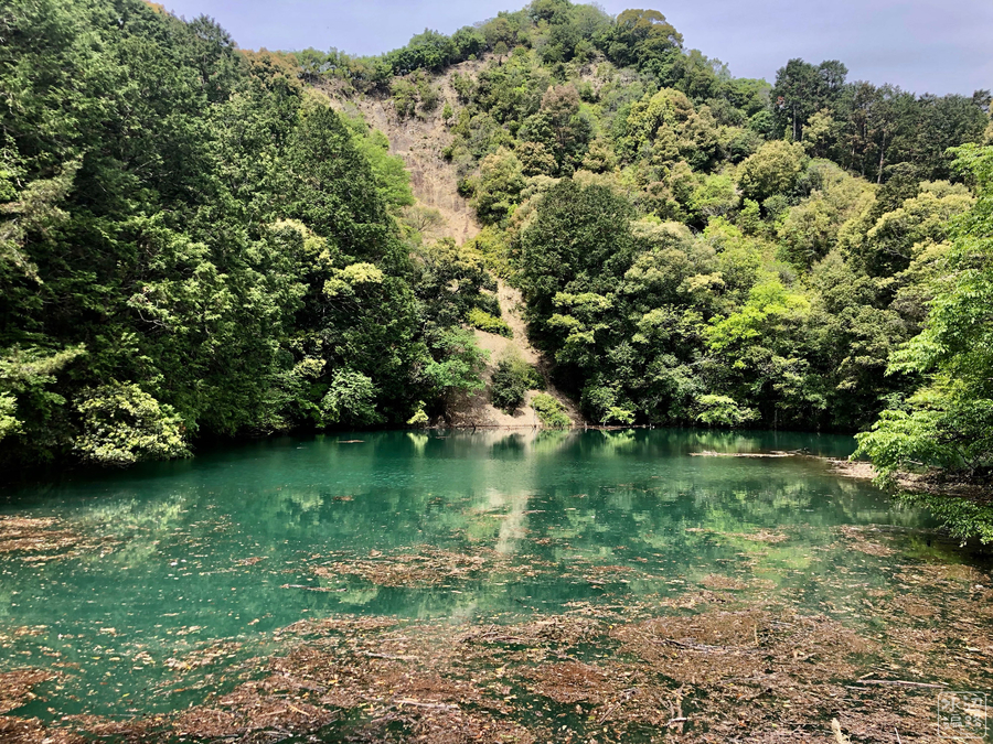 f:id:cippillo:20190724014433j:plain