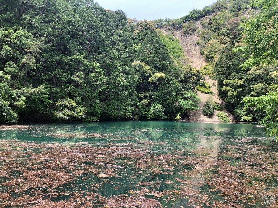 f:id:cippillo:20190724014526j:plain