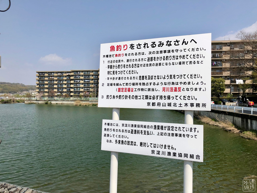 f:id:cippillo:20190726115315j:plain