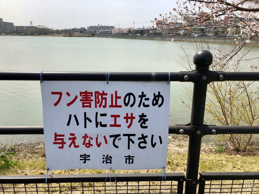 f:id:cippillo:20190726115437j:plain
