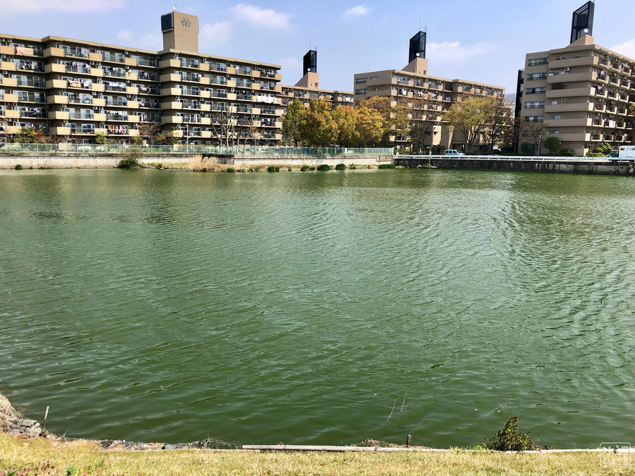f:id:cippillo:20190726144033j:plain