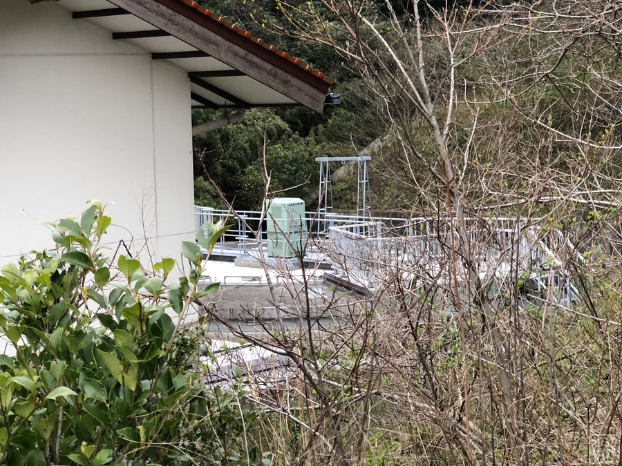 f:id:cippillo:20190731113759j:plain