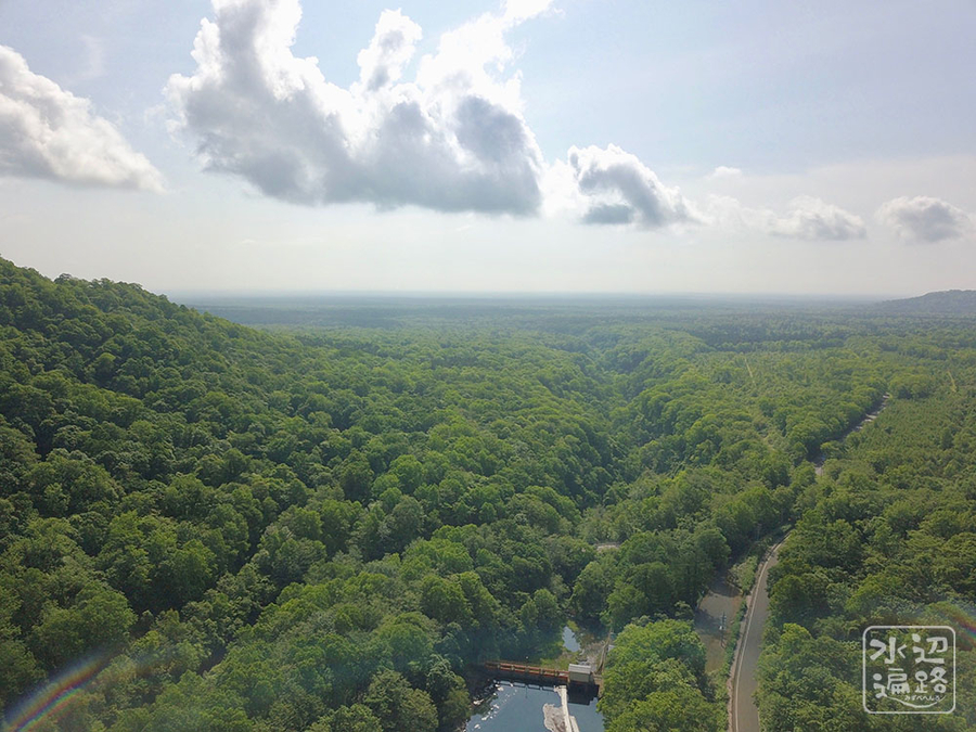 f:id:cippillo:20190804144713j:plain f:id:cippillo:20190804144713j:plain