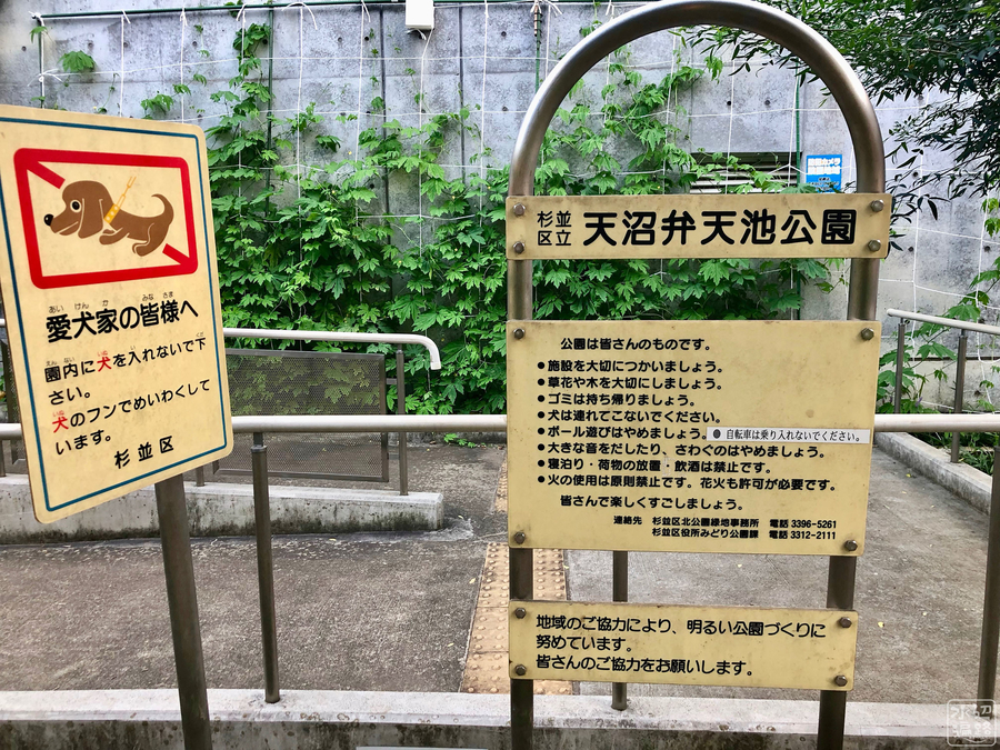 f:id:cippillo:20190813195311j:plain