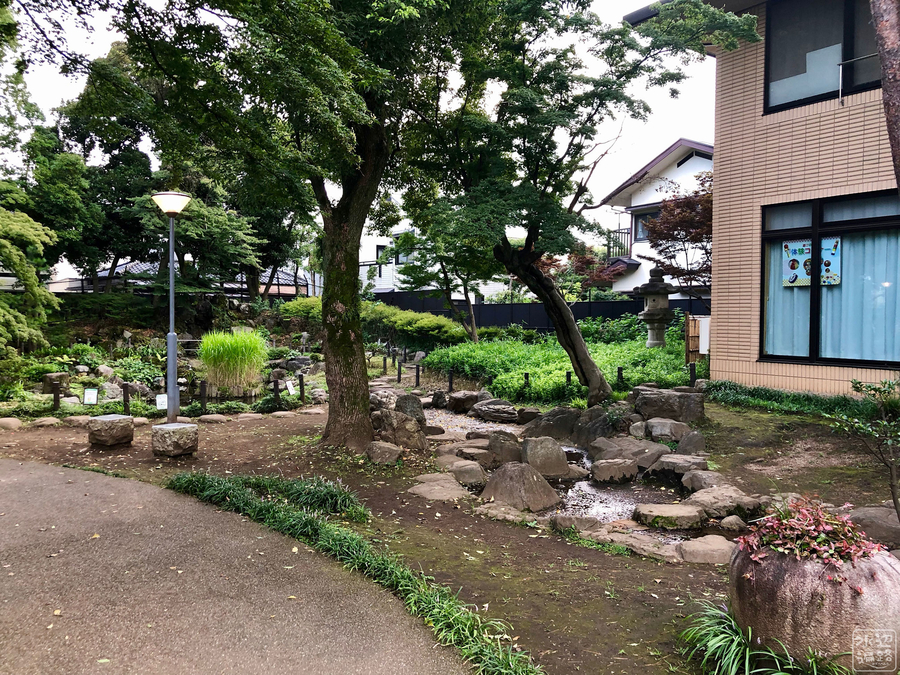 f:id:cippillo:20190813195328j:plain