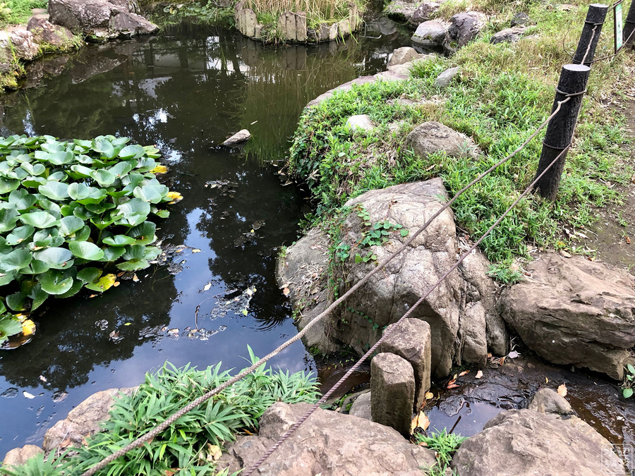 f:id:cippillo:20190813195420j:plain