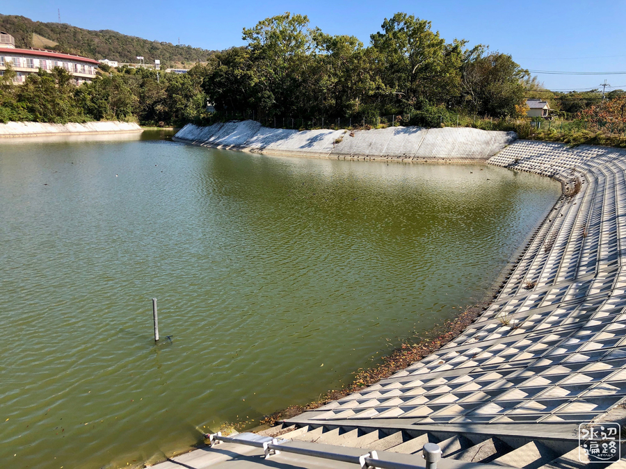 f:id:cippillo:20190816124704j:plain