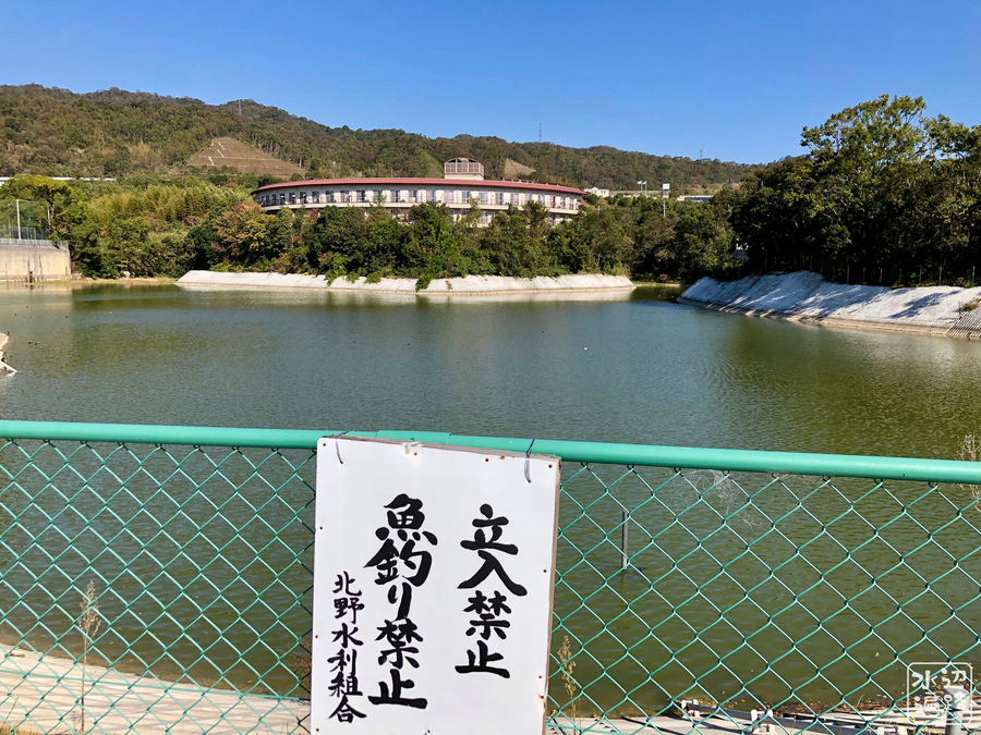 f:id:cippillo:20190816124724j:plain