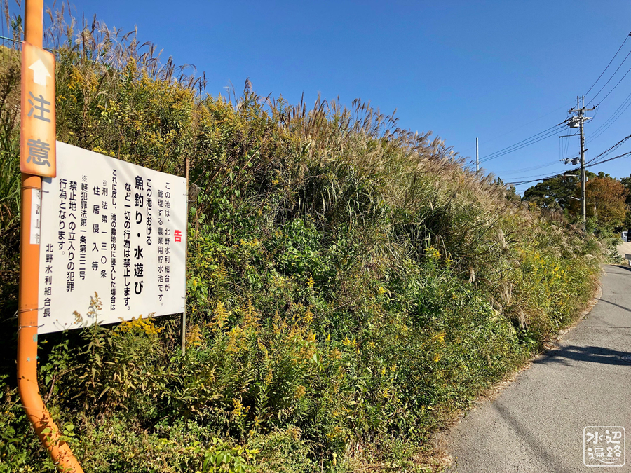 f:id:cippillo:20190816124756j:plain