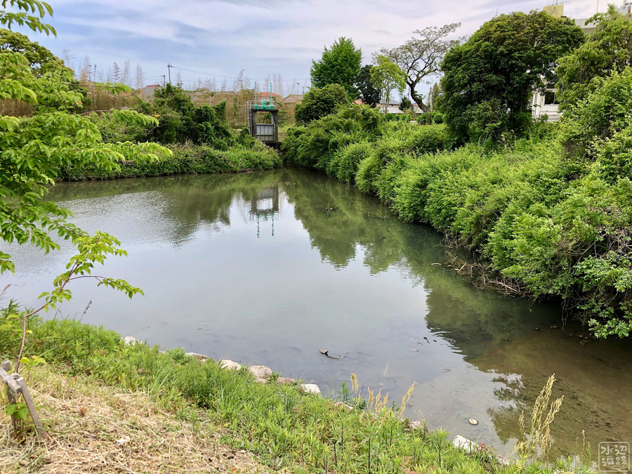 f:id:cippillo:20190818205621j:plain