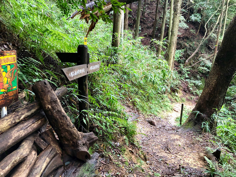 f:id:cippillo:20190820212813j:plain