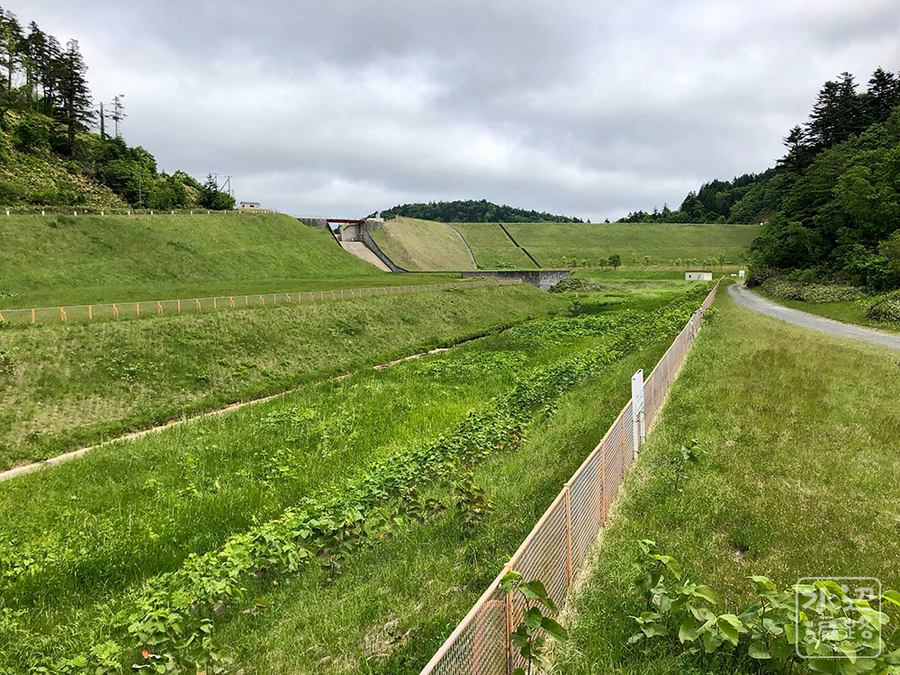 f:id:cippillo:20190827111629j:plain