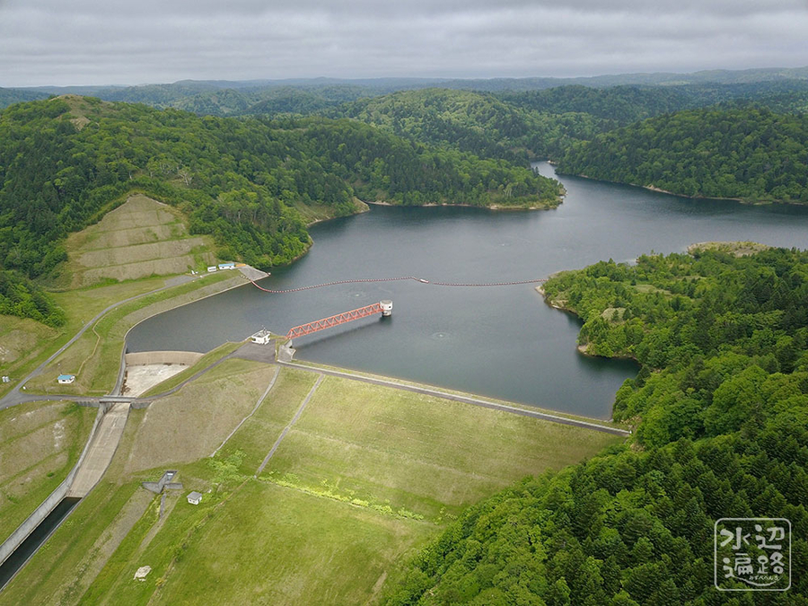 f:id:cippillo:20190827111634j:plain