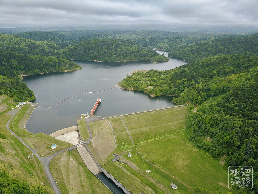 f:id:cippillo:20190827111643j:plain