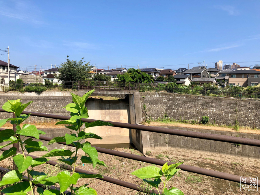 f:id:cippillo:20190831115311j:plain