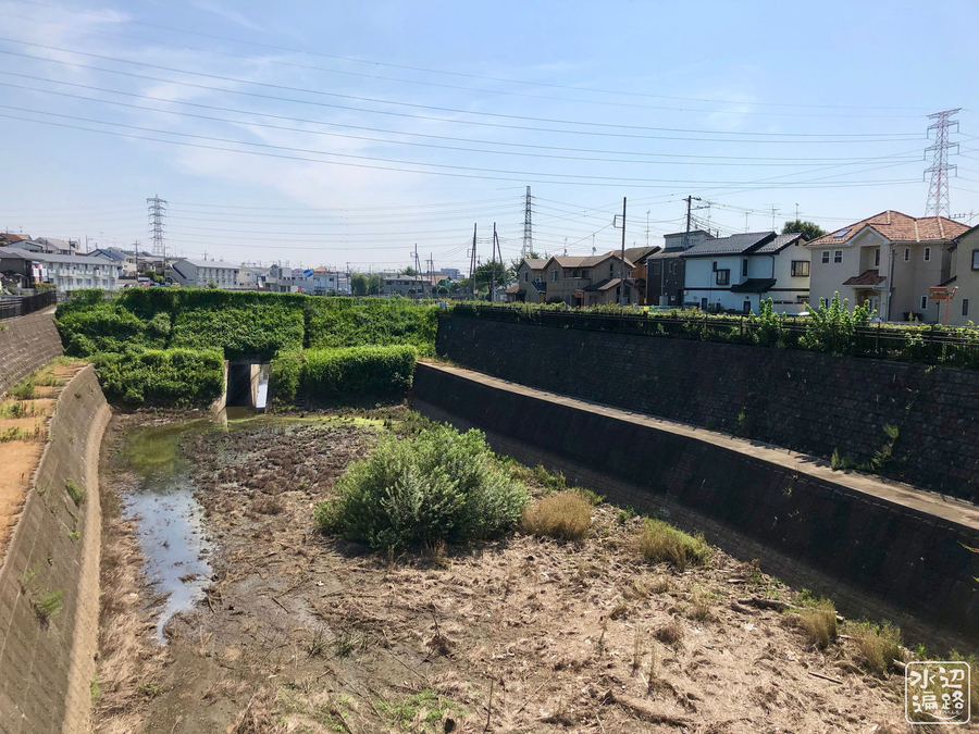 f:id:cippillo:20190831115323j:plain