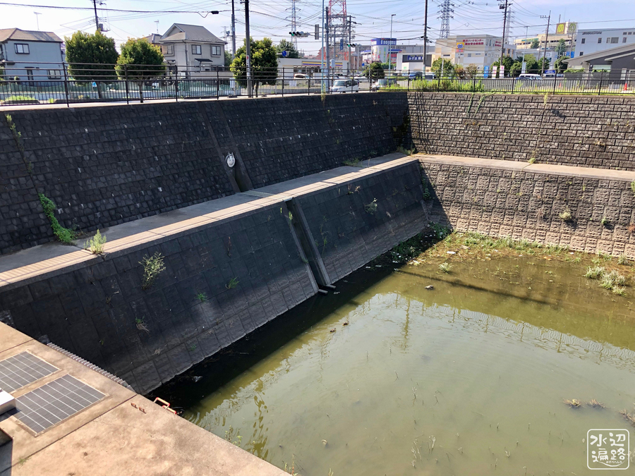 f:id:cippillo:20190831115653j:plain