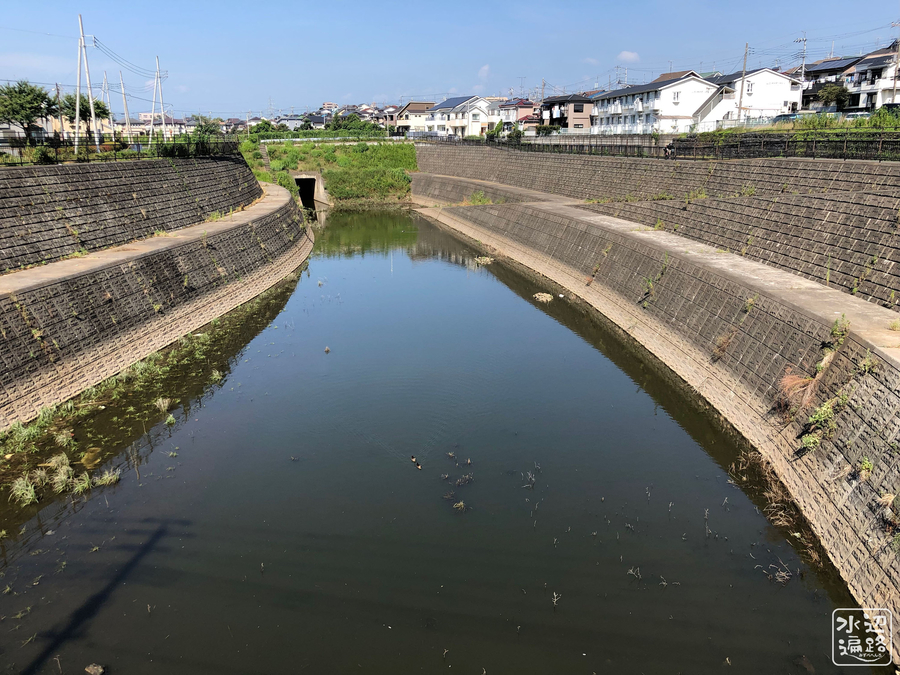f:id:cippillo:20190831115806j:plain