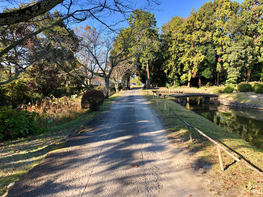 f:id:cippillo:20190902132707j:plain