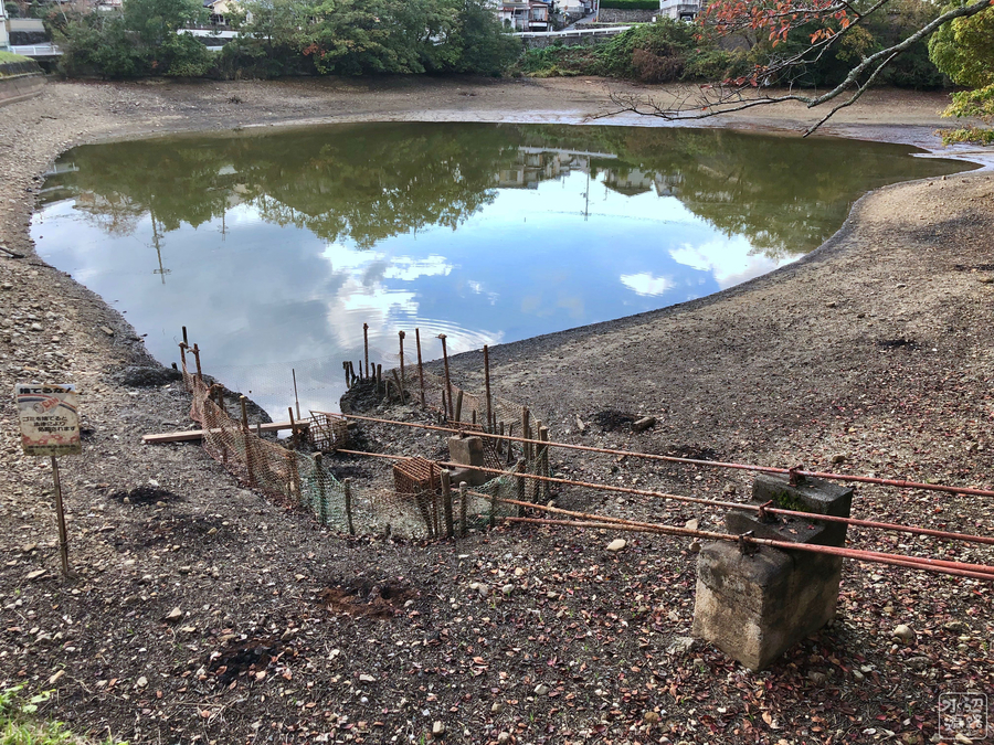 f:id:cippillo:20190903202935j:plain