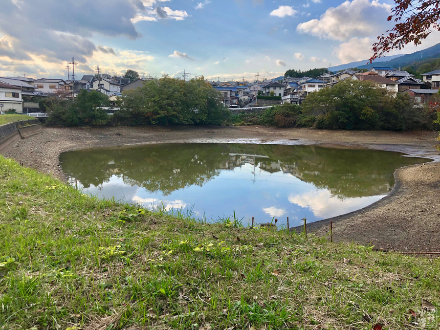 f:id:cippillo:20190903202953j:plain