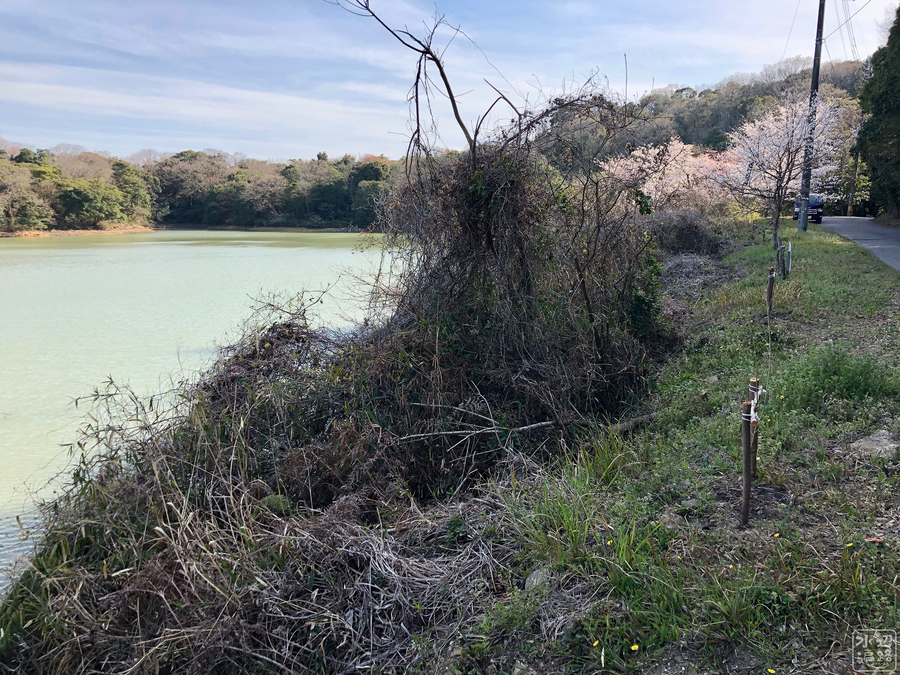 f:id:cippillo:20190910150956j:plain f:id:cippillo:20190910150956j:plain